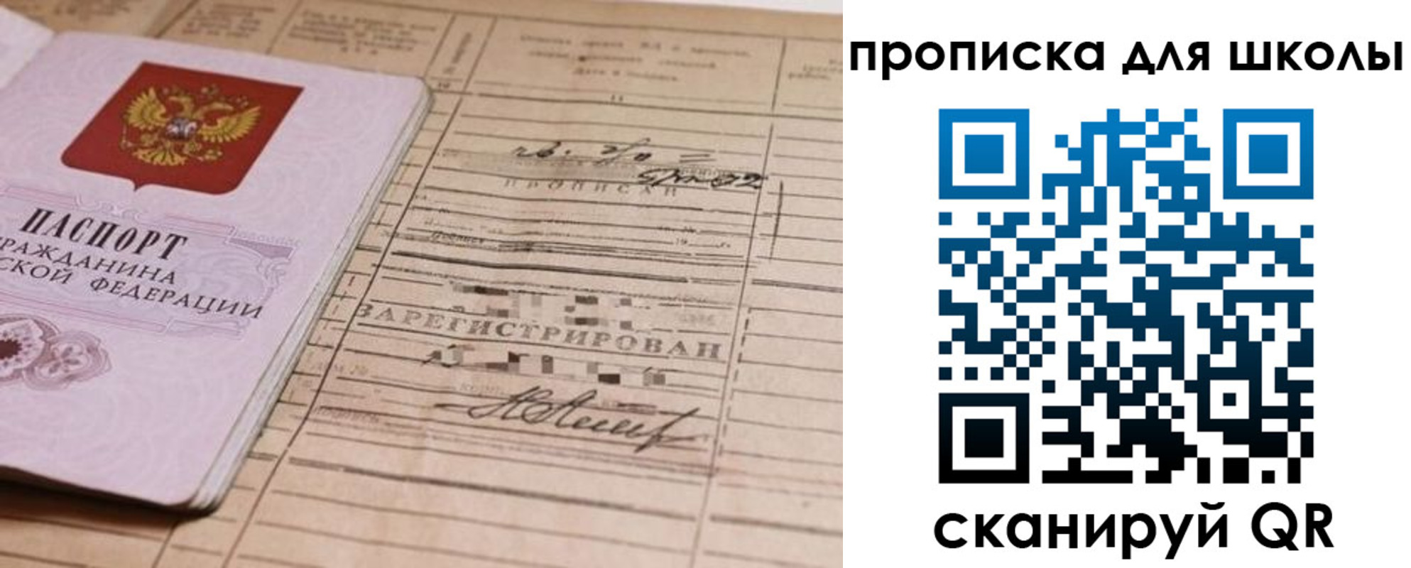 прописка поиск в Кингисеппе